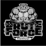 Brute Force Logo