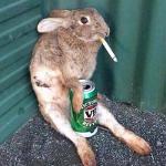 One Flew Over Younghoe Koo's Nest Logo