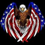 Romford Stallions Logo