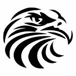 NA Black Eagles Logo