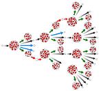 Achane reaction Logo