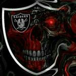 MERCERS RAIDERS Logo