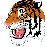The Bengal Tigers Logo