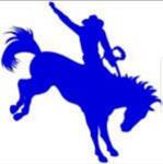 Litchfield Cowboys (CT) Logo