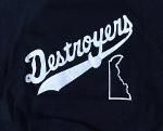 Delaware Destroyers Logo