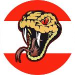 Vienna Rattlesnakes Logo