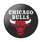 Chicago Bulls Logo