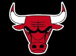 BULLS Logo