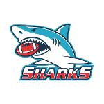 Tampa Bay Sharks Logo