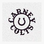Carney colts Logo