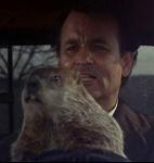 Punxsutawney Phils Logo