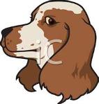 Tennessee Whiskeysippers Logo