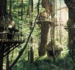 Ewok's welcome Vader O Logo