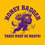Pucela Honey Badgers Logo
