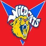 Neath Wildcats 🤖 Logo