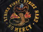Cobra- Kai Logo