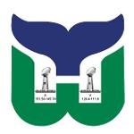 Wilmington Whalers Logo