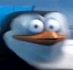 🍻Welcome to the Poole Party🍻 Logo