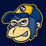 Troy's Football Team Logo