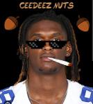 CeeDees Nutz Logo