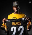 Steelers Nation Logo