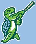Bora Bora Fightin Turtles Logo