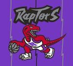 The North Raptors Logo