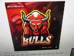 JERRY BULLS Logo