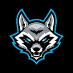 Reith Raccoons Logo