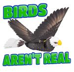Birds Aren’t Real 🚫🕊️ Logo