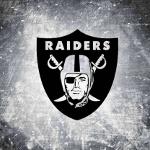 Lugoslavia Raiders Logo