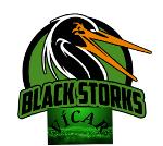 Black Storks Vícar Logo
