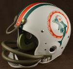1972 dolphins Logo