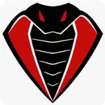 Infante Cobras⭐️ Logo