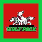 Neath Wolfpack 🎱 Logo