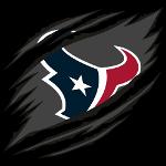 Houston Texans Logo