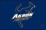 The Zips Logo