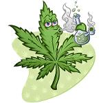 SATIVA Krew Logo