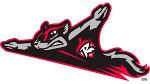 Flying Squirrels Logo