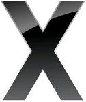 Big X Logo