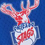 Chicago STAGS Logo