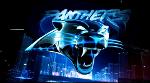 Carolina Panthers Logo