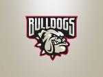 Chicago Bulldogs Logo