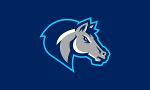 Dallas Mustangs Logo