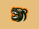 Minnesota Wolverines Logo