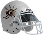 Spiders Logo
