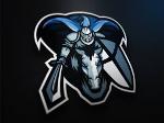 Paladins Logo