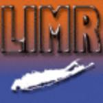 Long Island MallRats Logo