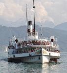 Luzern Ship Sharks Logo