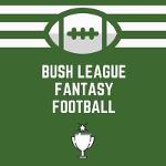 Bush League Logo